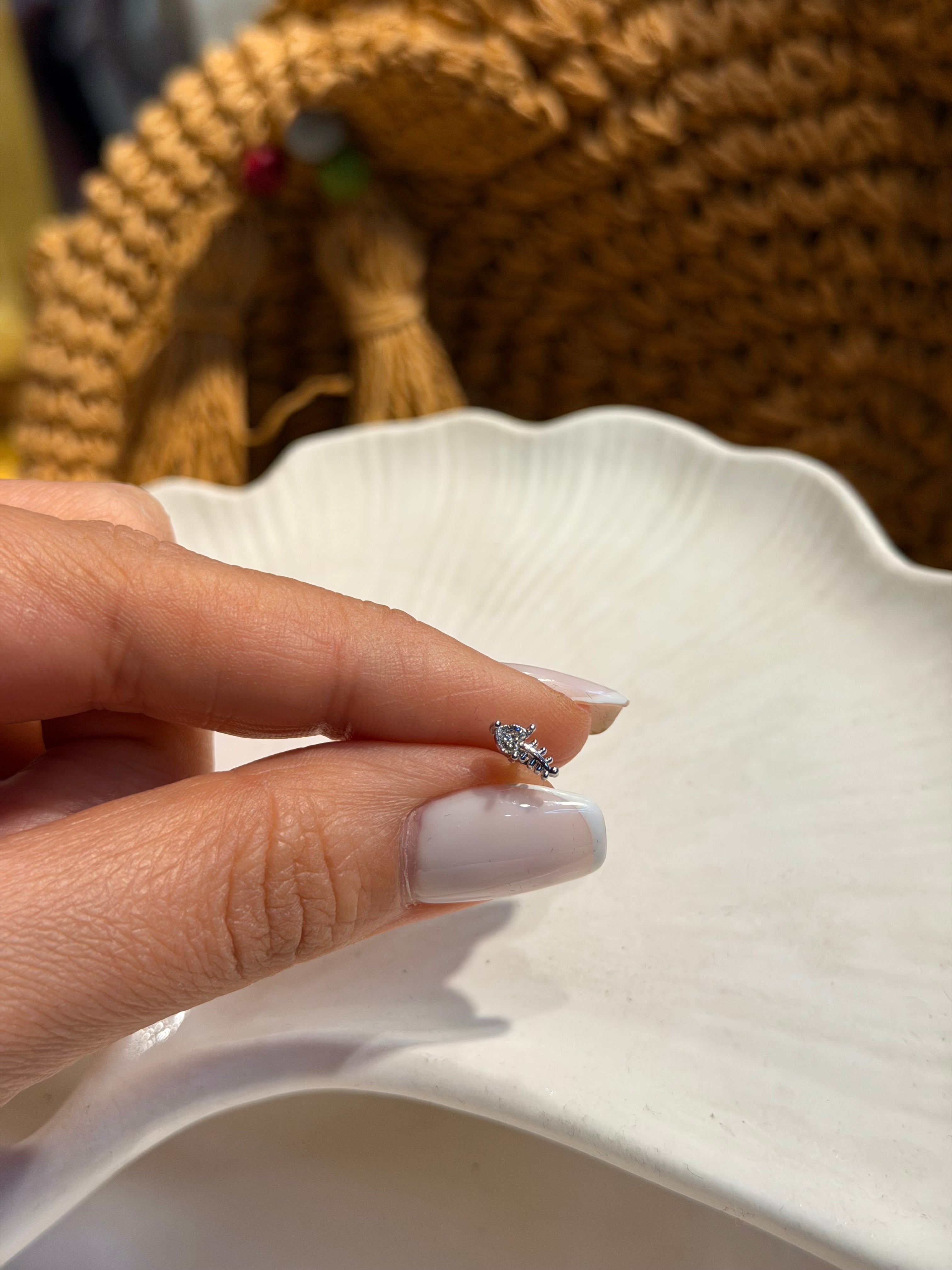 Balık Sırtı Model Cerrahi Piercing Silver Ürün ana görseli