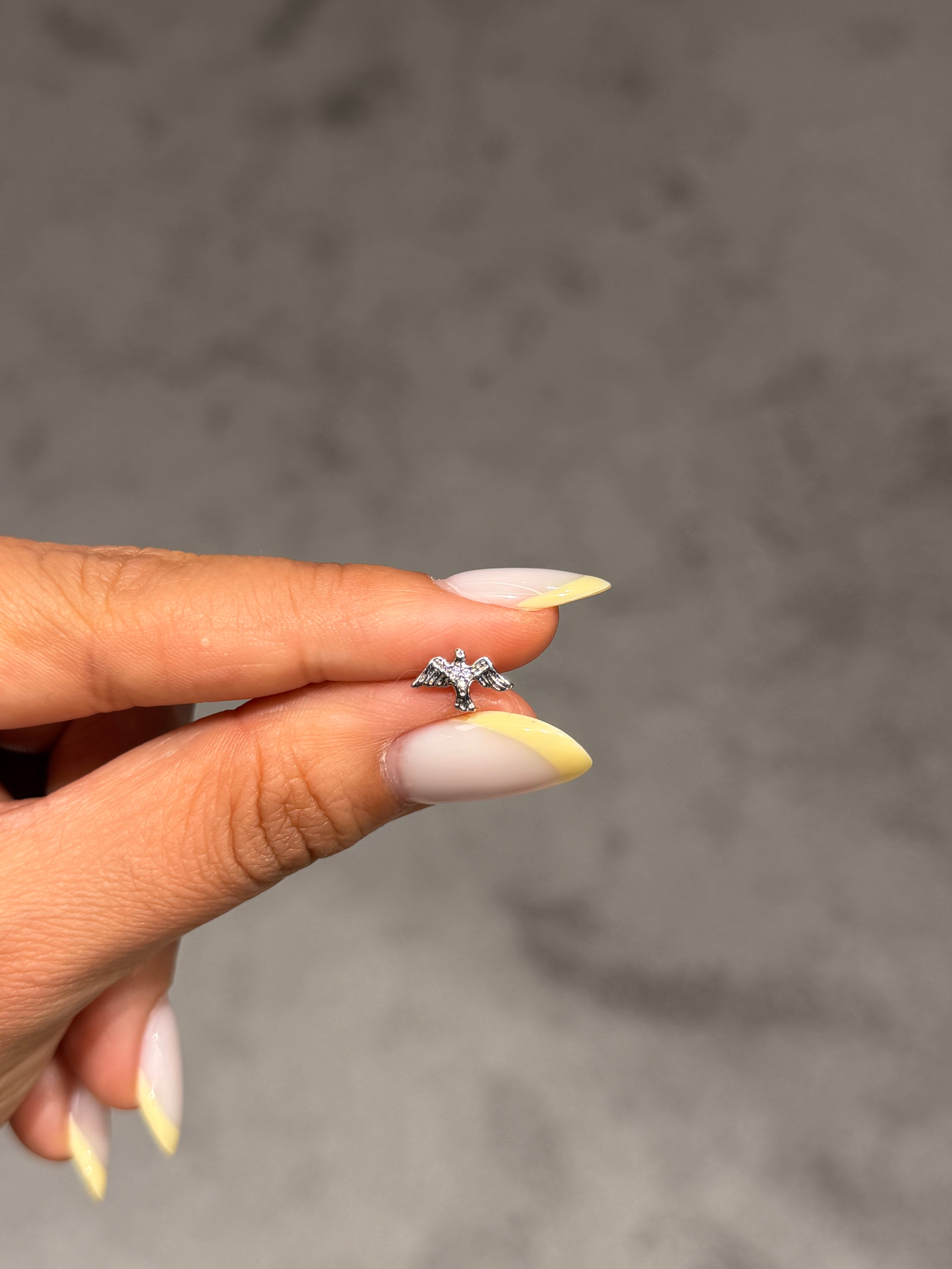 Kuş Model Cerrahi Piercing Silver Ürün ana görseli